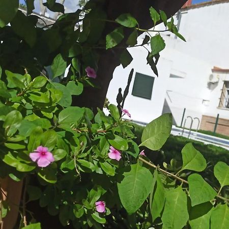 Вілла Casa Turquesa Валенсіна-де-ла-Консепсьйон Екстер'єр фото